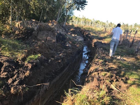 Levantan detención de concejal municipal  procesado por delitos ambientales