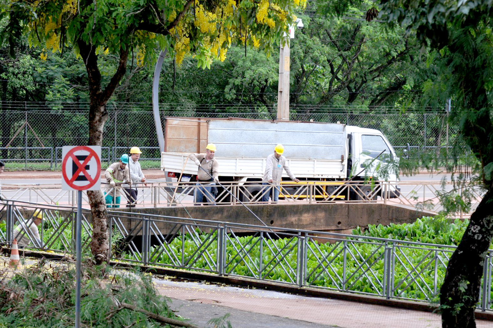 Una gran cantidad de camalote es  retirada del Lago de la República