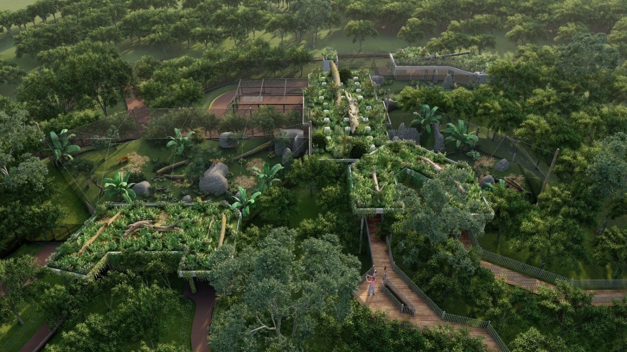 Crearán zona de exhibición  de fauna en Hernandarias