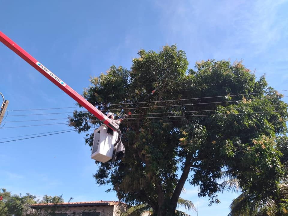 Árboles bajo el tendido eléctrico son un verdadero dolor de cabeza para la ANDE