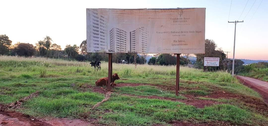 Concejales negocian con “Kelembu” y aprueban instalar surtidor en las cercanías de la Costanera