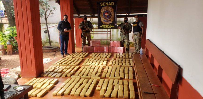 Senad incauta 1.573 kilos de marihuana en Canindeyú