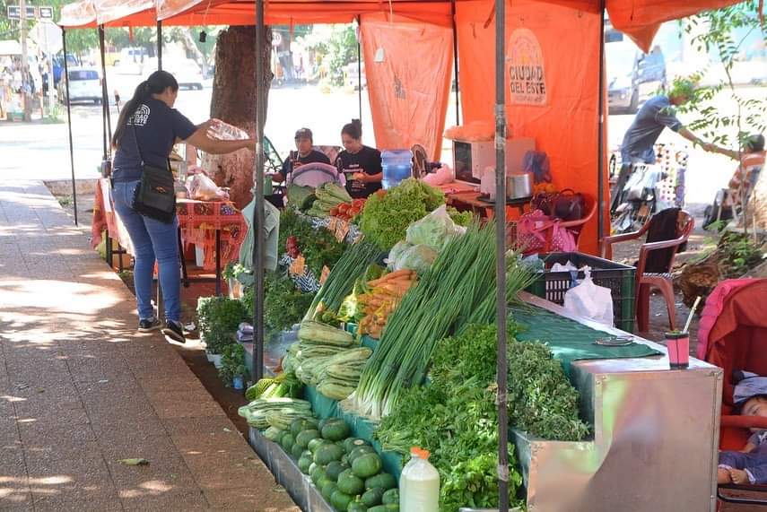 Exitosa feria en la plaza Ciudad Nueva de CDE