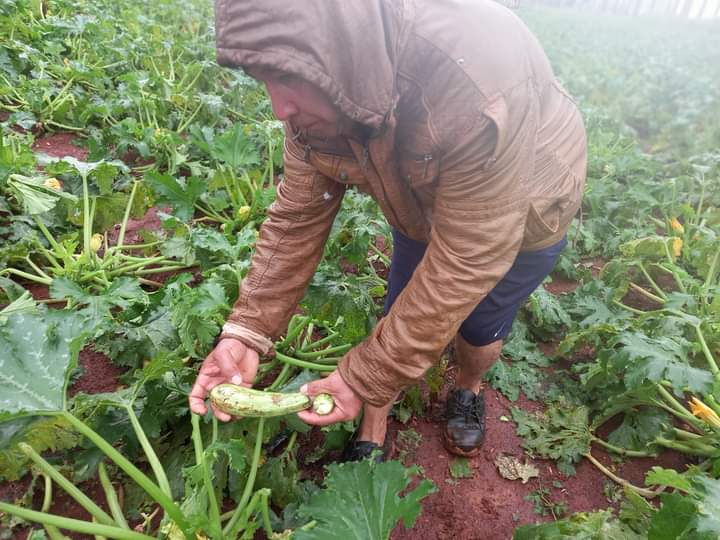 Granizada destroza viviendas y cultivos en Minga Guazú