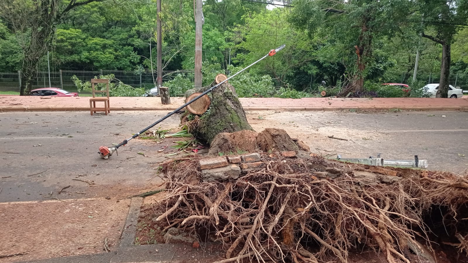 Árboles caídos y casas destechadas deja a su paso temporal en Alto Paraná