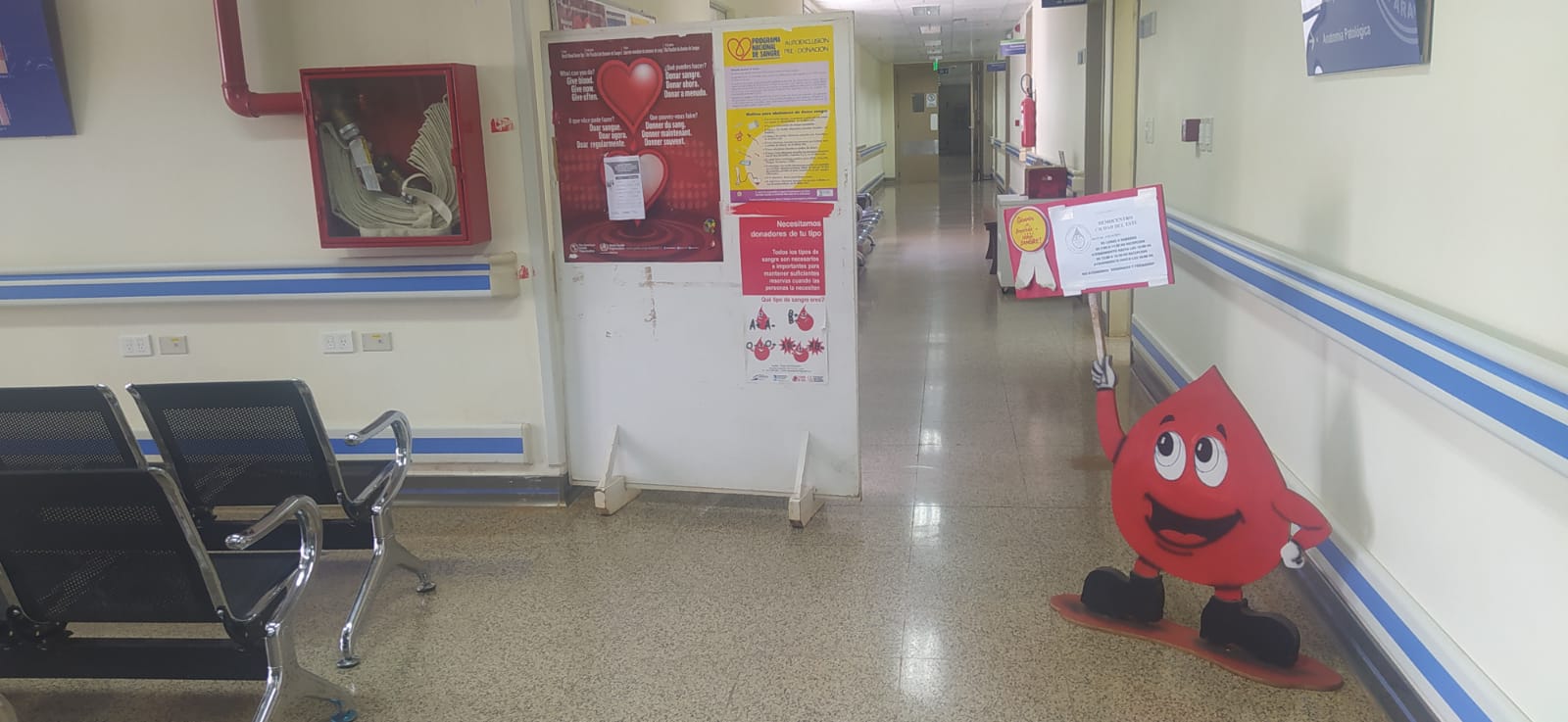 Recuerdan importancia de la donación de sangre