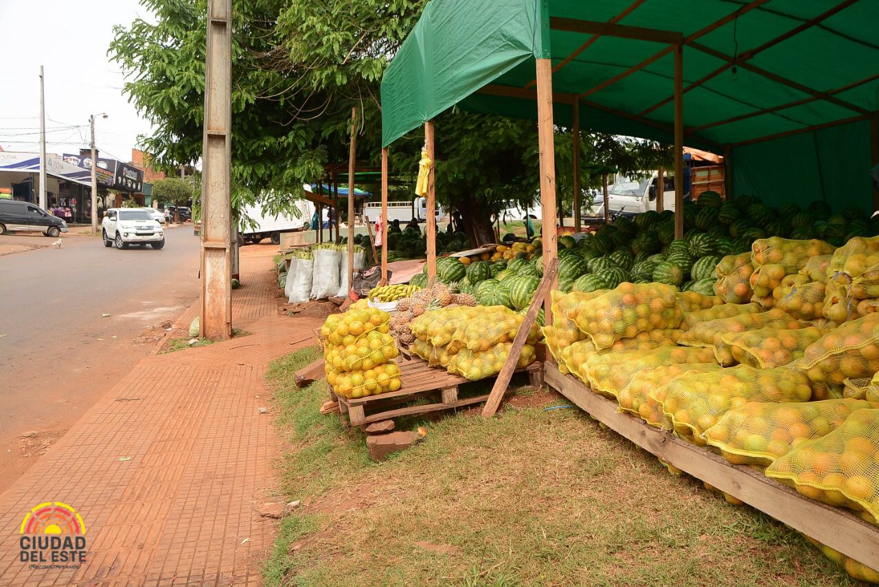 Productores tienen espacio en el mercado para ofrecer sus frutas