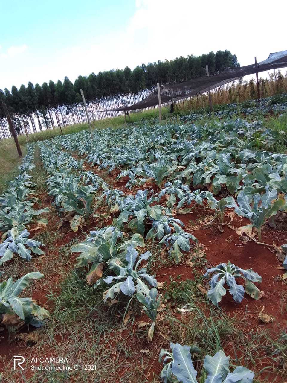 MAG ningunea a hortigranjeros de Minga al no desembolsar fondos para infraestructura