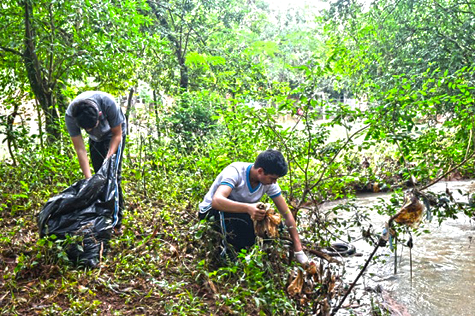 Vecinos denuncian destrucción del medio ambiente e inacción de Comuna