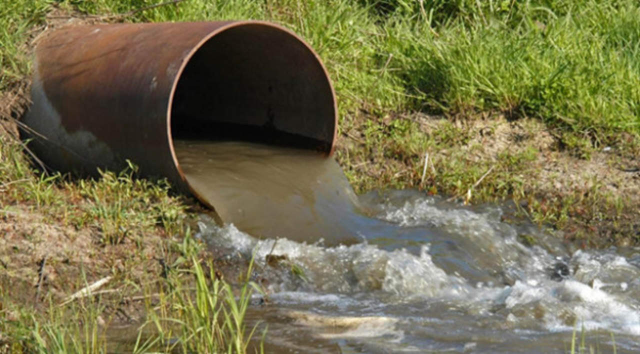Responsable de firma Agrofort Agropecuaria es imputado por delitos ambientales