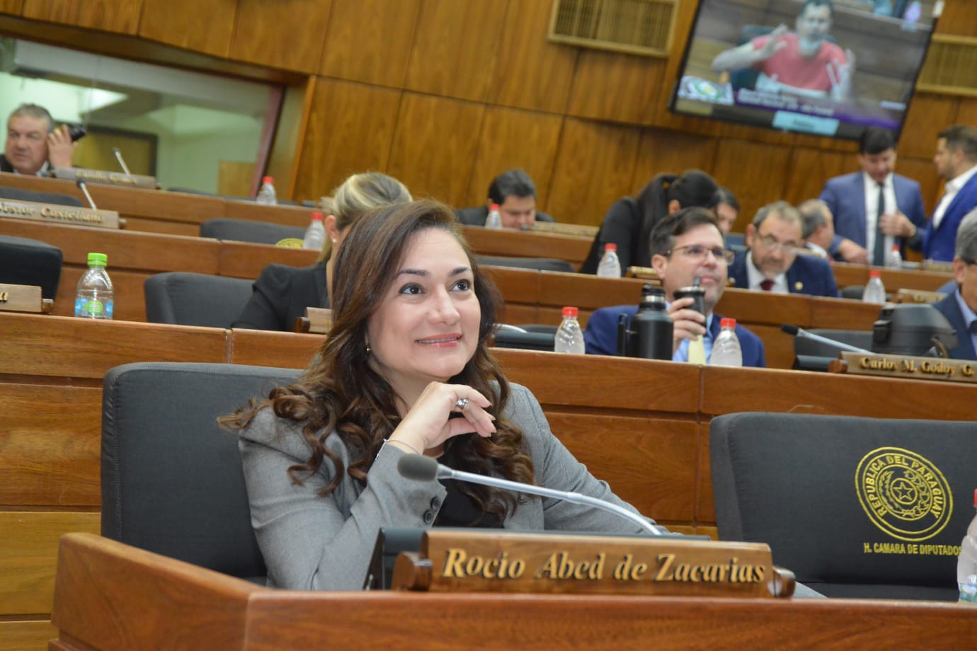 Diputada dice que el Gobierno tiene la mirada puesta en CDE