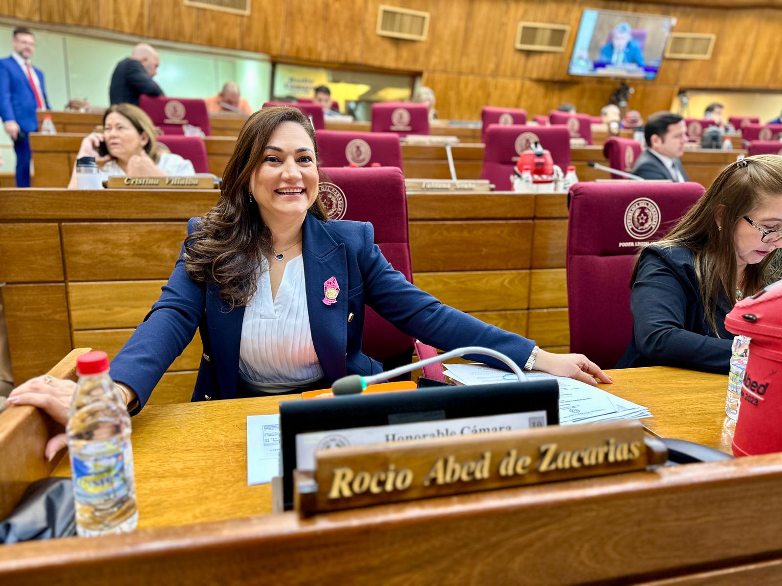Declaran de interés nacional Black Friday de CDE a iniciativa de la diputada Abed