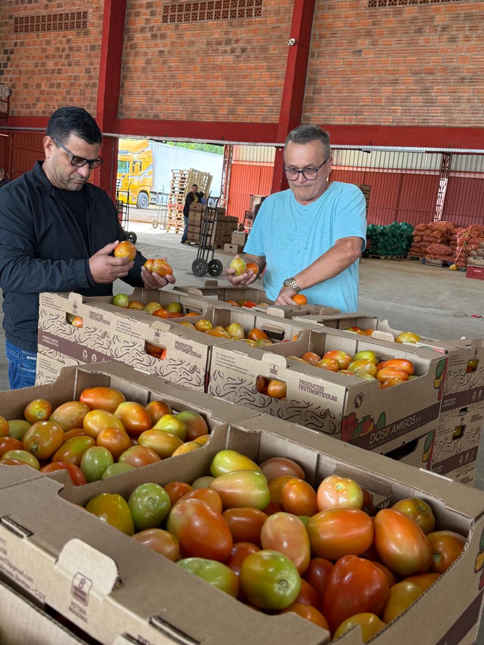 Productor concreta el primer envío de 30 toneladas de tomate a la Argentina