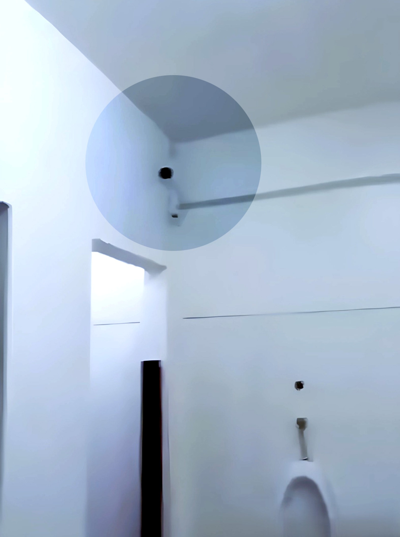 Empleado filtra video que evidencia que en Hoahi incluso hay cámaras en los sanitarios