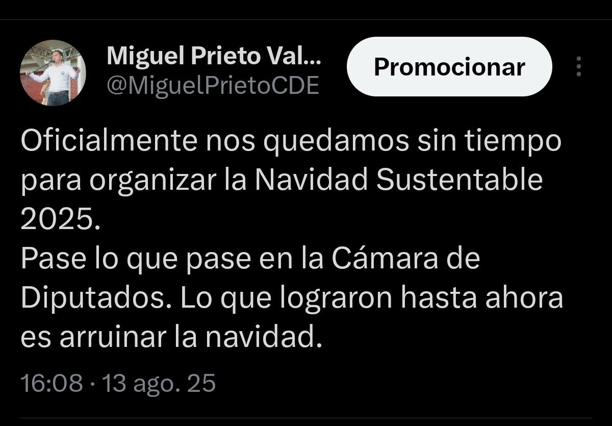 La intervención apaga las luces de la “Navidad Sustentable” en CDE
