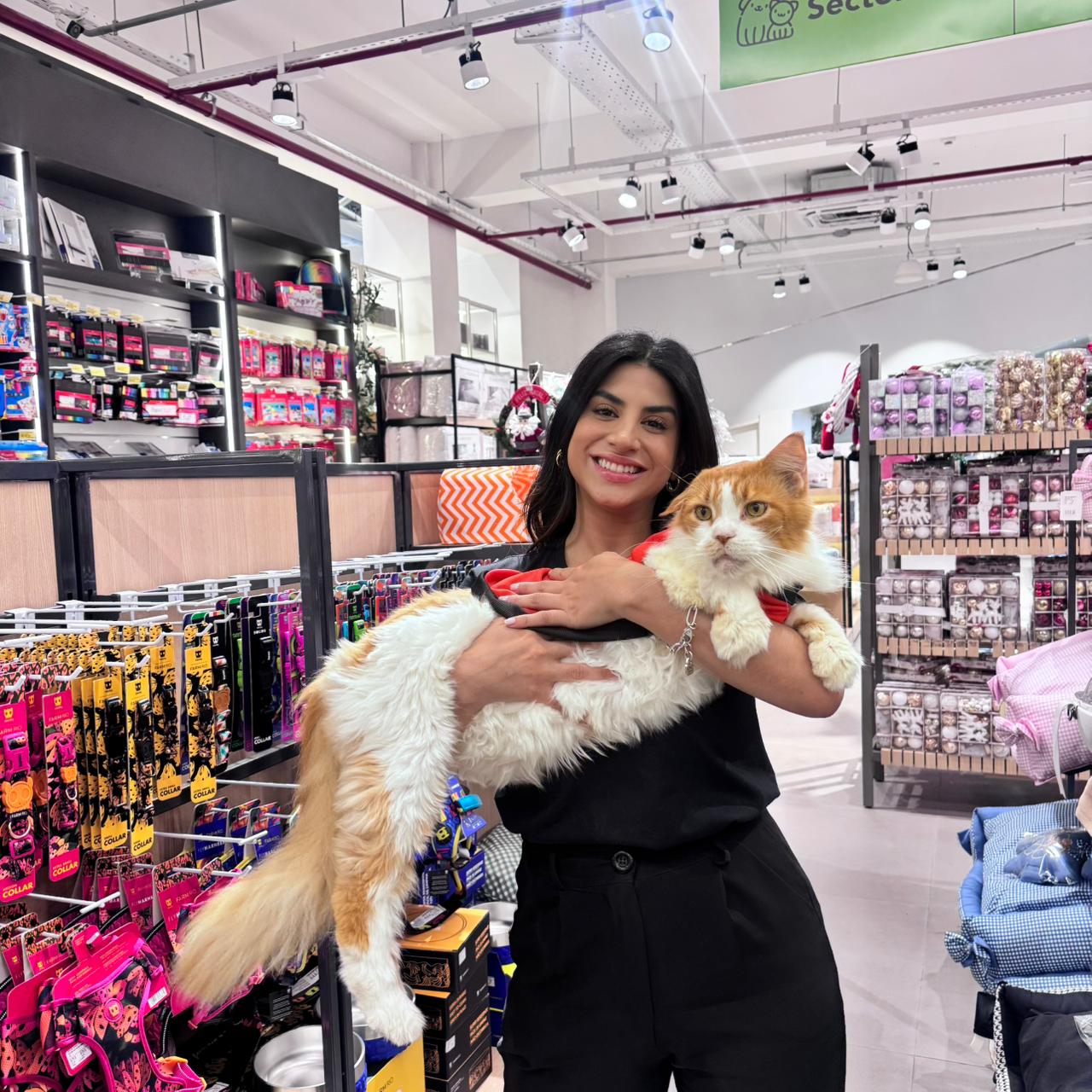 New Zone Importados prepara varias actividades por Halloween