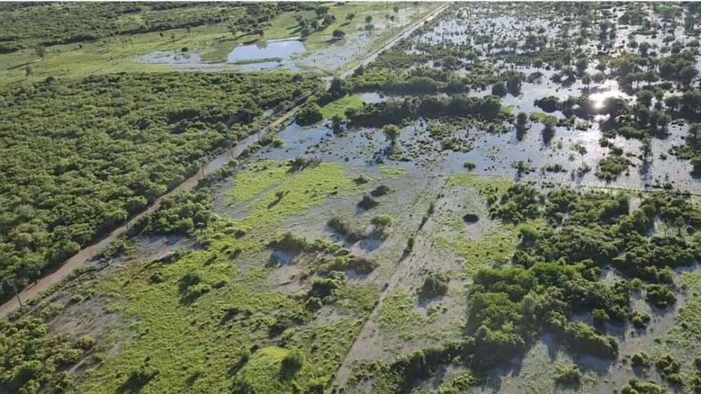 El Niño abre expectativas para una campaña agrícola favorable, reportan productores
